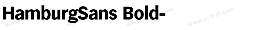 HamburgSans Bold字体转换